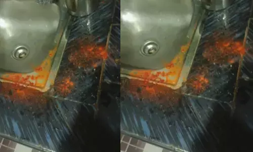 അടുക്കളയിൽ പാത്രം കഴുകുന്നതിനിടെ കരഞ്ഞ് നിലവിളിച്ച് ആ അമ്മയും മകളും; ബഹളം കേട്ട് നാട്ടുകാർ ഓടിയെത്തി; പേരാമ്പ്രയിൽ മുളകുപൊടി വാരിയെറിഞ്ഞ് മോഷണശ്രമം