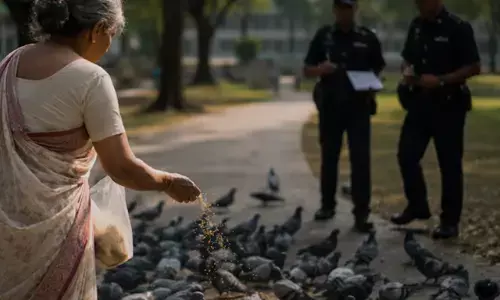 ആറ് മാസത്തിനിടെ പ്രാവുകൾക്ക് തീറ്റ നൽകിയത് ഒമ്പത് തവണ; മുന്നറിയിപ്പ് നൽകിയിട്ടും ആവർത്തിച്ചു; നിയമത്തോടുള്ള നിരന്തര അവഗണന; ഇന്ത്യക്കാരിക്ക് രണ്ട് ലക്ഷം രൂപ പിഴയിട്ട് സിംഗപ്പൂർ കോടതി