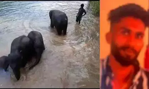 കോട്ടൂരില്‍ ആന ചവിട്ടി കൊന്ന പാപ്പാന്റെ കുടുംബത്തിന് നഷ്ടപരിഹാരം: നടപടികള്‍ അറിയിക്കണമെന്ന് മനുഷ്യാവകാശ കമ്മീഷന്‍