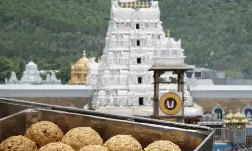 വൈഎസ്ആര്‍ കോണ്‍ഗ്രസ് ഭരണകാലത്ത് തിരുപ്പതി ലഡു നിര്‍മിച്ചത് ടോയ്ലെറ്റ് ക്ലീനര്‍ നിര്‍മിക്കുന്ന രാസവസ്തുക്കള്‍ ഉപയോഗിച്ച്; ആരോപണവുമായി ചന്ദ്രബാബു നായിഡു