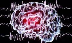 അപസ്മാര രോഗനിര്‍ണ്ണയം കൂടുതല്‍ വ്യക്തമായി: ചികിത്സയോട് പ്രതികരിക്കാത്ത അപസ്മാര രോഗികള്‍ക്ക് ഒരു പുതിയ പ്രതീക്ഷ