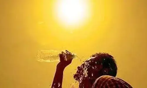 സംസ്ഥാനത്ത് ഉയര്‍ന്ന ചൂട്; രാവിലെ 11 മുതല്‍ 3 വരെ നേരിട്ട് വെയില്‍ ഏല്‍ക്കരുത്; മുന്നറിയിപ്പ് നല്‍കി ദുരന്ത നിവാരണ അതോറിറ്റി