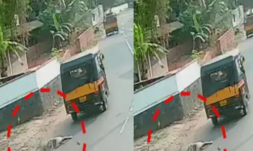 മിന്നൽ വേഗതയിൽ റോഡിലൂടെ കുതിച്ച ഓട്ടോ; പെട്ടെന്ന് വണ്ടിയിൽ നിന്ന് തെറിച്ചുവീണ് ആറ് വയസുകാരി; ഒന്നുമറിയാതെ ഡ്രൈവർ; പരാതിയുമായി കുടുംബം