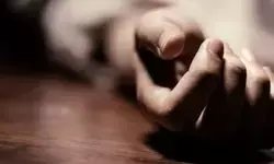 സ്‌കൂളിലെ കലാപരിപാടിയുടെ പരിശീലനത്തിനിടെ വിഷപ്രാണിയുടെ കടിയേറ്റു; മൂന്നാം ക്ലാസ് വിദ്യാര്‍ത്ഥിനിക്ക് ദാരുണാന്ത്യം