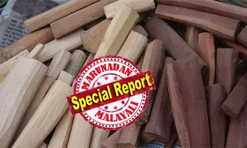 ചന്ദനമരങ്ങള്‍ ഇനി ബാധ്യതയല്ല; ലക്ഷങ്ങള്‍ കൊയ്യാന്‍ കര്‍ഷകര്‍ക്ക് വഴിതുറന്നു വനനിയമ ഭേദഗതി, ഇനി സ്വന്തം പറമ്പിലെ ചന്ദനം മുറിച്ചുവില്‍ക്കാം; ഗവര്‍ണറുടെ അംഗീകാരം ലഭിച്ചതോടെ പതിറ്റാണ്ടുകളായുള്ള കര്‍ശന നിയന്ത്രണങ്ങള്‍ക്ക് ഇളവ്