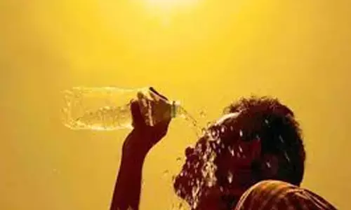 ഈ വര്‍ഷവും വേനല്‍ കനക്കും; ഫെബ്രുവരി അവസാനത്തോടെ താപനില 40 ഡിഗ്രി കടന്നേക്കും