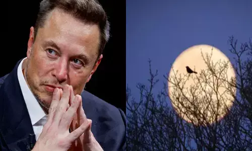 ചൊവ്വയിൽ കോളനികൾ സ്ഥാപിക്കുമെന്ന ആ മോഹം കളഞ്ഞ് ഇലോൺ മസ്‍ക്; ഇനി അടുത്ത ലക്ഷ്യം ചന്ദ്രനിലോ?; തീരുമാനത്തിന് പിന്നിലെ കാരണം അറിയാം