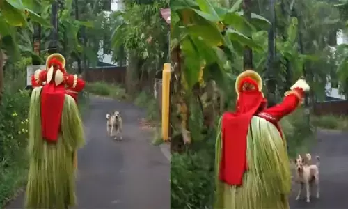 തെയ്യക്കോലത്തിന് നേരെ കുരച്ചുചാടി തെരുവുനായ്ക്കള്‍; ചിലമ്പൊലിയും അട്ടഹാസവുമായി വിരട്ടിയോടിച്ച് തെയ്യക്കോലം