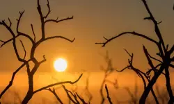 സംസ്ഥാനം കൊടും ചൂടിലേക്ക്; കണ്ണൂരില്‍ പകല്‍ താപനില 37 ഡിഗ്രി സെല്‍ഷ്യസ്: ജാഗ്രതാ നിര്‍ദേശം