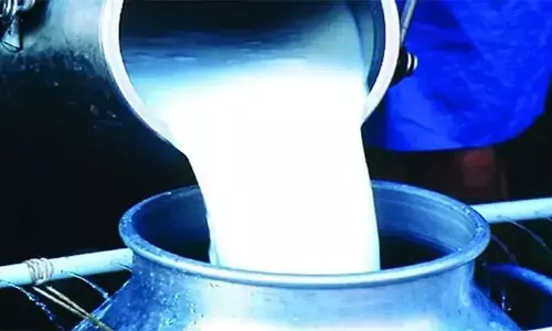 പാല്‍ പിരിക്കാതെ തന്നെ നേരിട്ട് തൈരും മറ്റ് പാലുല്‍പ്പന്നങ്ങളും നിര്‍മ്മിക്കാം; ക്ഷീരമേഖലയില്‍ വന്‍ മാറ്റത്തിന് വഴിതെളിയും