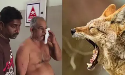 ശരിക്കുള്ള കുറുനരിയെ കണ്ടു; ആദ്യം കണ്ടപാടെ ഭർത്താവിന്റെ മുഖം കടിച്ചുപിടിച്ചു; രക്ഷിക്കാനെത്തിയ ഭാര്യയ്ക്കും കടി കിട്ടി; കൊല്ലത്ത് ദമ്പതികൾ ചികിത്സയിൽ