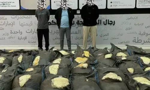 ഓഫീസർമാരുടെ കണ്ണുവെട്ടിക്കാൻ ചോളത്തിനിടയിൽ ഗുളികകൾ; രണ്ട് രാജ്യങ്ങൾ ഒരുമിച്ച് നിന്ന് സംയുക്ത നീക്കം; അന്താരാഷ്ട്ര മയക്കുമരുന്ന് സംഘം വലയിൽ കുടുങ്ങി