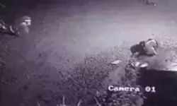 പുറത്ത് അസാധാരണ മുരൾച്ച കേട്ട് പുറത്തിറങ്ങിയ വീട്ടുകാർ; പെട്ടെന്ന് മുറ്റം വഴി ഓടി നേരെ റബ്ബര്‍ തോട്ടത്തിൽ കയറി; വിവരം അറിഞ്ഞ് പരിഭ്രാന്തിലായി നാട്ടുകാർ; പുലി ഭീതിയിൽ ഒരു നാട്