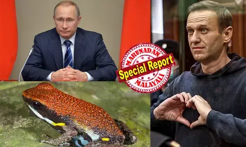 തെക്കേ അമേരിക്കയിലെ ഗോത്രവര്‍ഗക്കാര്‍ വേട്ടയാടലിനായി അമ്പുകളിലും ബ്ലോ ഗണ്ണുകളിലും തേക്കുന്ന മാരക വിഷം;  മോര്‍ഫിനേക്കാള്‍ 200 മടങ്ങ് ശക്തിയേറിയ എപ്പിബാറ്റിഡിന്‍;  ഡാര്‍ട്ട് ഫ്രോഗ് എന്ന വിഷത്തവളയുടെ തൊലിയിലെ വിഷം റഷ്യന്‍ ജയിലിലെത്തിയത് എങ്ങനെ?   അലക്‌സി നവാല്‍നിയുടെ ജീവനെടുത്തത് അതീവ മാരകമായ രാസായുധമെന്ന് ബ്രിട്ടനും സഖ്യകക്ഷികളും; പുട്ടിന്‍ ഭരണകൂടത്തെ പ്രതിക്കൂട്ടിലാക്കി വെളിപ്പെടുത്തല്‍