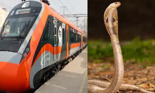 ട്രെയിനിലെ ശുചിമുറിയിൽ കയറിയ ഒരാൾ ആ കാഴ്ച കണ്ട് നിലവിളിച്ചോടി; നിമിഷ നേരം കൊണ്ട് കൺട്രോൾ റൂമിലേക്ക് അലർട്ട് കോൾ; വന്ദേ ഭാരതിൽ പാമ്പിനെ തുറന്നുവിട്ട യുവാവ് പിടിയിൽ