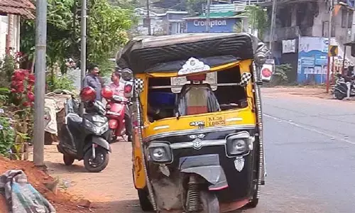 കണ്ണൂരില്‍ കാട്ടുപന്നി കുറുകെ ചാടി ഓട്ടോറിക്ഷ മറിഞ്ഞു; യാത്രക്കാരന് ദാരുണാന്ത്യം
