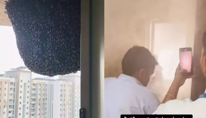ഇതൊന്നും അത്ര നല്ലതല്ല കേട്ടോ..; കെട്ടിടത്തിന്റെ ഏറ്റവും ഉയരത്തിൽ പേടിപ്പെടുത്തുന്ന രീതിയിൽ തേനീച്ചക്കൂട്; ഇതൊന്നും കൂസാതെ ബാത്റൂം ജനലിലൂടെ യുവതി ചെയ്തത് ഇതൊന്നും അത്ര നല്ലതല്ല കേട്ടോ..; കെട്ടിടത്തിന്റെ ഏറ്റവും ഉയരത്തിൽ പേടിപ്പെടുത്തുന്ന രീതിയിൽ തേനീച്ചക്കൂട്; ഇതൊന്നും കൂസാതെ ബാത്റൂം ജനലിലൂടെ യുവതി ചെയ്തത്