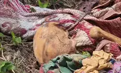 ആള്ത്താമസം ഇല്ലാത്ത വീട്ടില് കുഴിച്ചിട്ട നിലയില് അസ്ഥികൂടം; കൊലപാതകമെന്ന് സംശയം: ഇവിടെ താമസിച്ചിരുന്ന ഇതരസംസ്ഥാന തൊഴിലാളികളെ കേന്ദ്രീകരിച്ച് അന്വേഷണം ആള്ത്താമസം ഇല്ലാത്ത വീട്ടില് കുഴിച്ചിട്ട നിലയില് അസ്ഥികൂടം; കൊലപാതകമെന്ന് സംശയം: ഇവിടെ താമസിച്ചിരുന്ന ഇതരസംസ്ഥാന തൊഴിലാളികളെ കേന്ദ്രീകരിച്ച് അന്വേഷണം