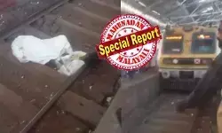 വീട്ടിലെ കട്ടിലിൽ സുഖമായി കിടന്ന് ഉറങ്ങുന്നത് പോലെ ഇന്ത്യൻ റെയിൽവേ പാളത്തിൽ ദേ..ഒരാൾ; ട്രാക്കിൽ നിന്ന് എഴുന്നേൽക്ക്..എന്ന് യാത്രക്കാർ ആക്രോശിക്കുന്നത് പോലും ആശാൻ കേൾക്കുന്നില്ല; പെട്ടെന്ന് ചൂളം വിളിച്ചെത്തിയ ട്രെയിനിന്റെ വരവിൽ സംഭവിച്ചത് വീട്ടിലെ കട്ടിലിൽ സുഖമായി കിടന്ന് ഉറങ്ങുന്നത് പോലെ ഇന്ത്യൻ റെയിൽവേ പാളത്തിൽ ദേ..ഒരാൾ; ട്രാക്കിൽ നിന്ന് എഴുന്നേൽക്ക്..എന്ന് യാത്രക്കാർ ആക്രോശിക്കുന്നത് പോലും ആശാൻ കേൾക്കുന്നില്ല; പെട്ടെന്ന് ചൂളം വിളിച്ചെത്തിയ ട്രെയിനിന്റെ വരവിൽ സംഭവിച്ചത്