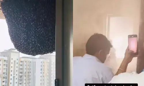 ഇതൊന്നും അത്ര നല്ലതല്ല കേട്ടോ..; കെട്ടിടത്തിന്റെ ഏറ്റവും ഉയരത്തിൽ പേടിപ്പെടുത്തുന്ന രീതിയിൽ തേനീച്ചക്കൂട്; ഇതൊന്നും കൂസാതെ ബാത്‍റൂം ജനലിലൂടെ യുവതി ചെയ്തത്