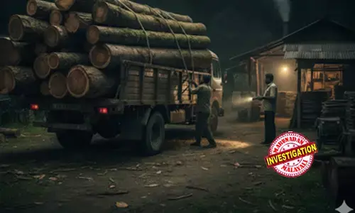 സര്‍ക്കാര്‍ തടി മുക്കി സ്വകാര്യ ഏലം ഡ്രയറുകള്‍! കട്ടപ്പനയില്‍ ലക്ഷങ്ങളുടെ മരക്കൊള്ള; പ്രതികളെ രക്ഷിക്കാന്‍ പി.ഡബ്ല്യു.ഡി ഉദ്യോഗസ്ഥരുടെ ബ്ലൈന്‍ഡ് കളി! പൊലീസിനെപ്പോലും വെട്ടിലാക്കി അവ്യക്ത പരാതി; ഒത്തുകളി പൊളിയുന്നു