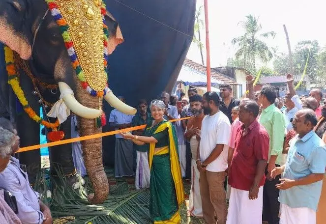 ഈ ആനകള് ഇടയില്ല; ആദ്യമായി ആലപ്പുഴയിലെ രണ്ട് ക്ഷേത്രങ്ങളില് റോബോട്ടിക് ആനകളെ സമര്പ്പിച്ച് വോയ്സസ് ഫോര് ഏഷ്യന് എലിഫന്റ്സ് ഈ ആനകള് ഇടയില്ല; ആദ്യമായി ആലപ്പുഴയിലെ രണ്ട് ക്ഷേത്രങ്ങളില് റോബോട്ടിക് ആനകളെ സമര്പ്പിച്ച് വോയ്സസ് ഫോര് ഏഷ്യന് എലിഫന്റ്സ്