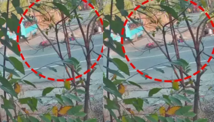 തെറ്റായ വശത്തേക്ക് കയറി വന്ന ബസ് സ്കൂട്ടറിൽ ഇടിച്ച് അപകടം; അമ്മയ്ക്കും മകൾക്കും പരിക്കേറ്റു; ആശുപത്രിയിൽ പ്രവേശിപ്പിച്ചു തെറ്റായ വശത്തേക്ക് കയറി വന്ന ബസ് സ്കൂട്ടറിൽ ഇടിച്ച് അപകടം; അമ്മയ്ക്കും മകൾക്കും പരിക്കേറ്റു; ആശുപത്രിയിൽ പ്രവേശിപ്പിച്ചു