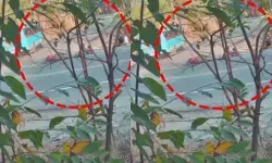 തെറ്റായ വശത്തേക്ക് കയറി വന്ന ബസ് സ്കൂട്ടറിൽ ഇടിച്ച് അപകടം; അമ്മയ്ക്കും മകൾക്കും പരിക്കേറ്റു; ആശുപത്രിയിൽ പ്രവേശിപ്പിച്ചു തെറ്റായ വശത്തേക്ക് കയറി വന്ന ബസ് സ്കൂട്ടറിൽ ഇടിച്ച് അപകടം; അമ്മയ്ക്കും മകൾക്കും പരിക്കേറ്റു; ആശുപത്രിയിൽ പ്രവേശിപ്പിച്ചു