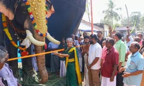 ഈ ആനകള്‍ ഇടയില്ല; ആദ്യമായി ആലപ്പുഴയിലെ രണ്ട് ക്ഷേത്രങ്ങളില്‍ റോബോട്ടിക് ആനകളെ സമര്‍പ്പിച്ച് വോയ്സസ് ഫോര്‍ ഏഷ്യന്‍ എലിഫന്റ്സ്
