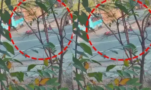 തെറ്റായ വശത്തേക്ക് കയറി വന്ന ബസ് സ്‌കൂട്ടറിൽ ഇടിച്ച് അപകടം; അമ്മയ്ക്കും മകൾക്കും പരിക്കേറ്റു; ആശുപത്രിയിൽ പ്രവേശിപ്പിച്ചു