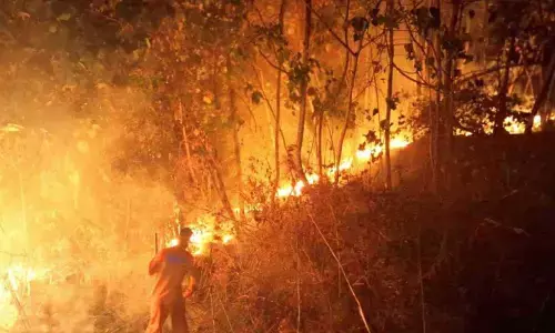 പ്രദേശത്ത് മുഴുവൻ പരിഭ്രാന്തിയിലാക്കി തീആളിപ്പടർന്നു; കോടശ്ശേരി പഞ്ചായത്തിലെ പീലാർമുഴിയിൽ തീപ്പിടുത്തം; 15 ഏക്കറോളം കത്തിനശിച്ചു പ്രദേശത്ത് മുഴുവൻ പരിഭ്രാന്തിയിലാക്കി തീആളിപ്പടർന്നു; കോടശ്ശേരി പഞ്ചായത്തിലെ പീലാർമുഴിയിൽ തീപ്പിടുത്തം; 15 ഏക്കറോളം കത്തിനശിച്ചു