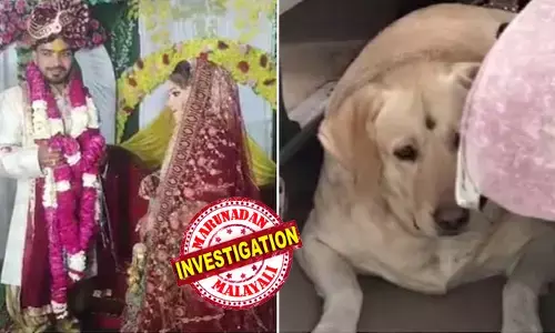 ദീര്‍ഘകാലമായി പ്രണയം; ഒളിച്ചോടിയതോടെ വീട്ടുകാരുടെ സമ്മതത്തോടെ വിവാഹം; ചടങ്ങുകള്‍ക്കിടെ കുരച്ച വളര്‍ത്തുനായയെ വരന്റെ ബന്ധു തല്ലി; പിന്നാലെ വിവാഹ വേദിയില്‍ കൂട്ടത്തല്ല്; വിവാഹത്തില്‍ നിന്നും പിന്മാറി വധു