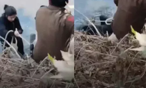 റീല്‍സ് ചിത്രീകരണത്തിനിടെ യുവതി അഴുക്കുചാലില്‍ വീണു; 22-കാരിയെ സാഹസികമായി രക്ഷിച്ച് ഡല്‍ഹി പൊലീസ്