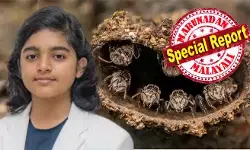 മേഴത്തൂരിലുള്ള ഒരു തേനീച്ച കൂട്ടില്‍ കാവല്‍ നില്‍ക്കുന്ന കൊമ്പില്ലാ ഈച്ചകളുടെ ക്ലോസപ്പ്; പത്ത് വര്‍ഷം പഴക്കമുള്ള ക്യാമറയുമായി അത്ഭുതം തീര്‍ത്ത് ഇന്ത്യന്‍ ബാലന്‍; ആധുനിക ഗാഡ്ജറ്റുകള്‍ ഇല്ലാതെ ഒരു ഡി എസ് എല്‍ ആര്‍ ക്യാമറയില്‍ പകര്‍ത്തിയ ചിത്രത്തിന് ഇന്റര്‍നാഷണല്‍ ക്ലോസ് അപ് അവാര്‍ഡ്