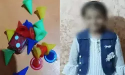 സഹോദരങ്ങളോടൊപ്പം ലൂഡോ കളിക്കുന്നതിനിടെ അപകടം; വിഴുങ്ങിയ പ്ലാസ്റ്റിക് കരു ശ്വാസകോശത്തിൽ കുടുങ്ങി എട്ടുവയസുകാരിക്ക് ദാരുണാന്ത്യം; കണ്ണീരോടെ ഉറ്റവർ സഹോദരങ്ങളോടൊപ്പം ലൂഡോ കളിക്കുന്നതിനിടെ അപകടം; വിഴുങ്ങിയ പ്ലാസ്റ്റിക് കരു ശ്വാസകോശത്തിൽ കുടുങ്ങി എട്ടുവയസുകാരിക്ക് ദാരുണാന്ത്യം; കണ്ണീരോടെ ഉറ്റവർ