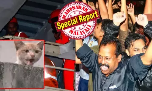 മെട്രോ തടസ്സപ്പെട്ടു, ലിഫ്റ്റ് കേടായി, ഒടുവിൽ പുലർച്ചെ ഒന്നരയ്ക്ക് ആ നാടകീയ നിമിഷം; കൊച്ചിയിൽ മെട്രോ തൂണിൽ രണ്ടാഴ്ച കുടുങ്ങിയ പൂച്ചയ്ക്ക് മോചനം; മിഷൻ സുഭാഷിന് ശുഭാന്ത്യം; ദൗത്യത്തിനൊടുവിൽ സന്തോഷം പങ്കിട്ട് നാട്ടുകാരും രക്ഷാപ്രവർത്തകരും