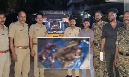 പുതുപ്പാടിയിൽ അർധരാത്രി വൻ വേട്ട; കലമാൻ ഇറച്ചിയുമായി യുവാവ് പിടിയിൽ; തോക്കുകളുമായി മൂന്നുപേർ കടന്നുകളഞ്ഞു; വനപാലകർ വലവിരിച്ചത് രഹസ്യവിവരത്തെത്തുടർന്ന്