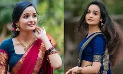 എന്റെ ശരികൾ പറയാനും ചോദ്യങ്ങൾ ചോദിക്കാനും ഇഷ്ടമാണ്; ഇത് ഞങ്ങളെ ഉദ്ദേശിച്ചാണ് എന്നു പറഞ്ഞ് ചിലര്‍ എതിരാവുന്നതിന് ഒന്നും ചെയ്യാനില്ല; അസഹിഷ്ണുതയ്‌ക്കെതിരെ നിലപാട് വ്യക്തമാക്കി മീനാക്ഷി