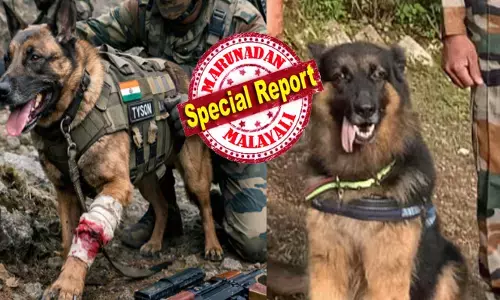 കാലിൽ വെടി കൊണ്ടിട്ടും തീവ്രവാദികളുടെ മുന്നിൽ മുട്ടുമടക്കാതെ കരുത്തനായ ടൈസൺ; അണ്ടർ കവർ ഏജന്റിനെ പോലെ മണത്ത് പിടിച്ച് അവന്മാരുടെ ഒളിത്താവളം ലക്ഷ്യമാക്കി നുഴഞ്ഞുകയറിയതും വെടി പൊട്ടുന്ന ശബ്ദം; പരിക്കേറ്റിട്ടും ഇന്ത്യൻ സേനയോടൊപ്പം പോരാടിയ കൊച്ചുമിടുക്കൻ; ഇന്നലെ കിഷ്ത്വാർ ഓപ്പറേഷനിൽ താരമായത് വെറുമൊരു മിണ്ടാപ്രാണി