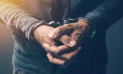 കൃഷിയിടത്തിലെ വിളകള്‍ക്കൊപ്പം കഞ്ചാവും കറുപ്പ് ചെടികളും വളര്‍ത്തി; സഹോദരന്മാരായ യുവാക്കള്‍ അറസ്റ്റില്‍: പോലിസ് റെയ്ഡില്‍ പിടികൂടിയത് 11 കോടി രൂപ വിലമതിക്കുന്ന കഞ്ചാവും കറുപ്പും