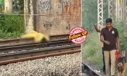 സുധ വിവാഹമോചിത; ഷാജിക്ക് ഭാര്യയും കുട്ടികളും; ഇരുവരും ദീര്‍ഘകാലമായി അടുപ്പത്തില്‍; സുധയുടെ അമ്മയും ഷാജിയും ഹൈക്കോടതിയിലെ മുന്‍ ജീവനക്കാര്‍; റെയില്‍വേ ട്രാക്കില്‍ മല്‍പ്പിടുത്തത്തിന് ഒടുവില്‍ യുവതിയെ കൊന്നത് ക്രൂരമായി മര്‍ദ്ദിച്ച്; മുഖം തകര്‍ത്തു, രക്തം വാര്‍ന്ന് മരണം! കുടുക്കിയത് ഷര്‍ട്ടിലെ രക്തക്കറയും സിസിടിവിയും; വൈറ്റില കൊലപാതകത്തില്‍ ഷാജി കുറ്റം സമ്മതിച്ചു