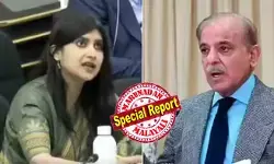 പാക്കിസ്ഥാന്‍ ജീവിക്കുന്നത് ലാ ലാ ലാന്‍ഡില്‍; കശ്മീര്‍ വിഷയത്തില്‍ യുഎന്നില്‍ പാക്കിസ്താന് ചുട്ടമറുപടി നല്‍കി ഇന്ത്യ;  പാക്കിസ്താന്‍ ഐഎംഎഫില്‍നിന്ന് തേടിയ സാമ്പത്തിക സഹായ പാക്കേജിന്റെ ഇരട്ടിയിലധികമാണ് ജമ്മുകശ്മീരിന്റെ ബജറ്റ് എന്നത് അവര്‍ക്ക് വിശ്വസിക്കാന്‍ കഴിയാത്തതാകാമെന്നും പരിഹസിച്ചു ഇന്ത്യന്‍ പ്രതിനിധി