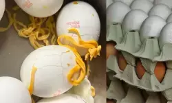 സെപ്റ്റോ വഴി വാങ്ങിയ മുട്ടയിൽ കണ്ടത് പ്ലാസ്റ്റിക്; പുഴുങ്ങിയപ്പോൾ ഉള്ളിലെ മഞ്ഞക്കരുവിൽ മനം മടുത്തുന്ന കാഴ്ച; ഉപഭോക്താവിന്റെ പരാതിയിൽ വിശദീകരണവുമായി എഗ്ഗോസ് സെപ്റ്റോ വഴി വാങ്ങിയ മുട്ടയിൽ കണ്ടത് പ്ലാസ്റ്റിക്; പുഴുങ്ങിയപ്പോൾ ഉള്ളിലെ മഞ്ഞക്കരുവിൽ മനം മടുത്തുന്ന കാഴ്ച; ഉപഭോക്താവിന്റെ പരാതിയിൽ വിശദീകരണവുമായി എഗ്ഗോസ്