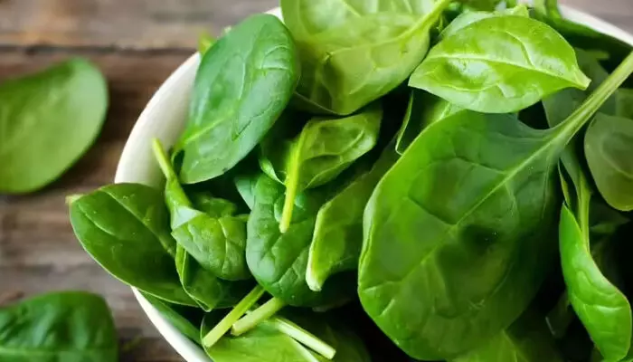 ആഴ്ചയിൽ ഒരിക്കലെങ്കിലും നിങ്ങൾ ഇത് കഴിക്കണം; ചീരയ്ക്ക് അത്ഭുതകരമായ ആരോഗ്യഗുണങ്ങൾ അടങ്ങിയിരിക്കുന്നു; ശരീരത്തിലുണ്ടാകുന്ന മാറ്റങ്ങൾ അറിയാം... ആഴ്ചയിൽ ഒരിക്കലെങ്കിലും നിങ്ങൾ ഇത് കഴിക്കണം; ചീരയ്ക്ക് അത്ഭുതകരമായ ആരോഗ്യഗുണങ്ങൾ അടങ്ങിയിരിക്കുന്നു; ശരീരത്തിലുണ്ടാകുന്ന മാറ്റങ്ങൾ അറിയാം...