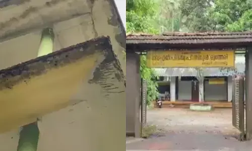 സ്‌കൂൾ കെട്ടിടത്തിന്‍റെ സണ്‍ഷേഡിലെ കോണ്‍ക്രീറ്റ് പാളി അടര്‍ന്നു വീണതും കേട്ടത് ഒരാളുടെ നിലവിളി; അപകടത്തിൽ അധ്യാപികക്ക് പരിക്ക്; ജീവൻ തിരിച്ചുകിട്ടിയത് ഭാഗ്യം കൊണ്ട് മാത്രം