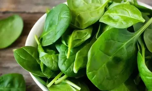 ആഴ്ചയിൽ ഒരിക്കലെങ്കിലും നിങ്ങൾ ഇത് കഴിക്കണം; ചീരയ്ക്ക് അത്ഭുതകരമായ ആരോഗ്യഗുണങ്ങൾ അടങ്ങിയിരിക്കുന്നു; ശരീരത്തിലുണ്ടാകുന്ന മാറ്റങ്ങൾ അറിയാം...