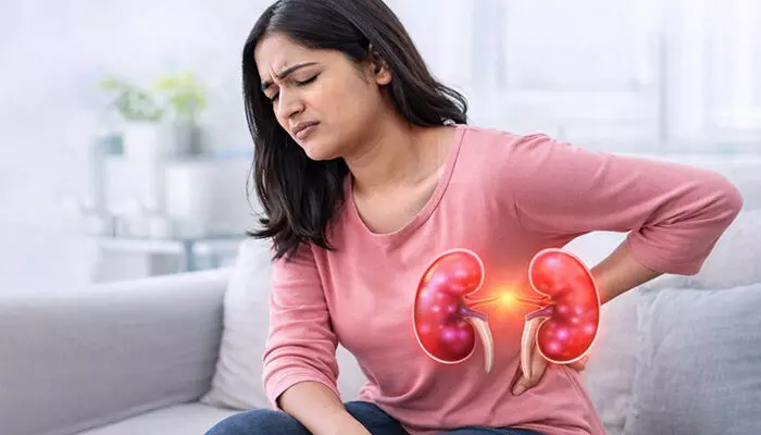 ഒന്ന് ഉറങ്ങി എഴുന്നേറ്റാൽ ഉടനെ വെള്ളം കുടി മസ്റ്റാ..; രാവിലെ ചെയ്യുന്ന ഇക്കാര്യങ്ങൾ നിങ്ങളുടെ വൃക്കകൾ തകരാറിലാവാൻ കാരണമാകുന്നു; കൂടുതൽ അറിയാം.. ഒന്ന് ഉറങ്ങി എഴുന്നേറ്റാൽ ഉടനെ വെള്ളം കുടി മസ്റ്റാ..; രാവിലെ ചെയ്യുന്ന ഇക്കാര്യങ്ങൾ നിങ്ങളുടെ വൃക്കകൾ തകരാറിലാവാൻ കാരണമാകുന്നു; കൂടുതൽ അറിയാം..