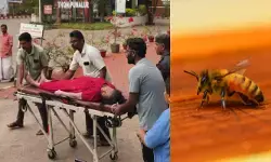 ആടിനെ മേയ്ക്കാൻ പോയ സ്ത്രീക്ക് നേരെ തേനീച്ചയുടെ ആക്രമണം; രക്ഷിക്കാൻ ശ്രമിച്ച നിരവധി പേർക്കും പരിക്ക്; ചികിത്സിച്ച നേഴ്സിനും തേനീച്ച കുത്തേറ്റു