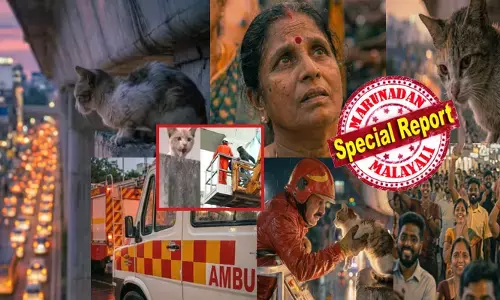 കൊച്ചി മെട്രോ പില്ലറിന് മുകളിൽ ഹൃദയം നുറുങ്ങുന്ന ഒരു കരച്ചിൽ; മുകളിലോട്ട് നോക്കിയ ആ അമ്മ കണ്ടത് കുടുങ്ങിക്കിടക്കുന്ന കുഞ്ഞി പൂച്ചയെ; ഒരൊറ്റ കോളിൽ സ്ഥലത്ത് ഫയർഫോഴ്‌സ് അടക്കം പാഞ്ഞെത്തി; ചെറിയ മിണ്ടാപ്രാണിയുടെ ജീവൻ രക്ഷിക്കാൻ നാട് മുഴുവൻ ഒറ്റക്കെട്ടായി നിൽക്കുന്ന കാഴ്ച; അന്നത്തെ സുഭാഷ് മിഷനെ ആസ്പദമാക്കി ഇറക്കിയ എഐ വീഡിയോ വൈറൽ; ഇതാണ് യഥാർത്ഥ കേരള സ്റ്റോറി എന്ന് സോഷ്യൽ മീഡിയ