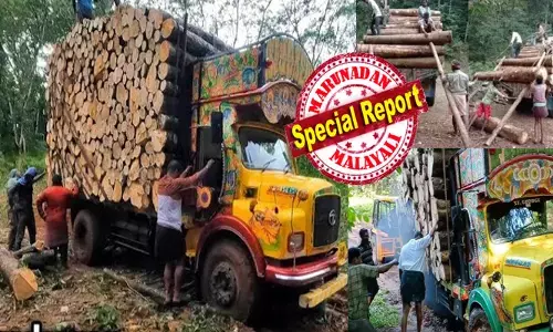 ഹനുമാൻ ഗിയറിട്ട് കുന്നും മലയും താണ്ടി ലാലേട്ടനെ പോലെ ഒരു വശം ചരിഞ്ഞിറങ്ങി വരുന്ന ടാറ്റ എസ്ഇ ലോറികൾ; മുതുകത്ത് എത്ര ലോഡ് കയറ്റിയാലും ചുമ്മാ...ക്രൗൾ ചെയ്ത് പോകും; പക്ഷെ..ഇതൊക്കെ ശ്രദ്ധിച്ചില്ലെങ്കിൽ അപകടം ഉറപ്പ്; ലോറിയിൽ തടി കയറ്റുമ്പോഴും ഇറക്കുമ്പോഴും പാലിക്കേണ്ട സുരക്ഷാ മുൻകരുതലുകൾ എന്തൊക്കെ? അറിയാം...